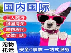 晋江航空托运国际宠物托运 【国